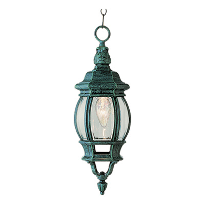 Trans Globe Lighting 4065 BC 1 Light Hanging Lantern in Black Copper